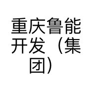 重庆鲁能开发（集团）有限公司的小店