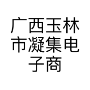 广西玉林市凝集电子商务有限公司的小店