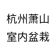 杭州萧山室内盆栽