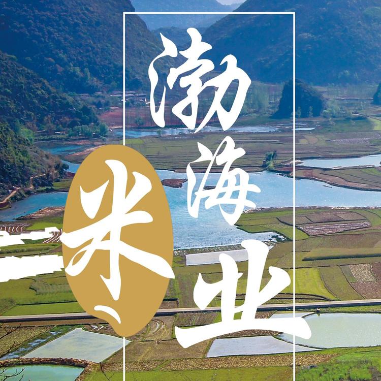 营口渤海米业有限公司