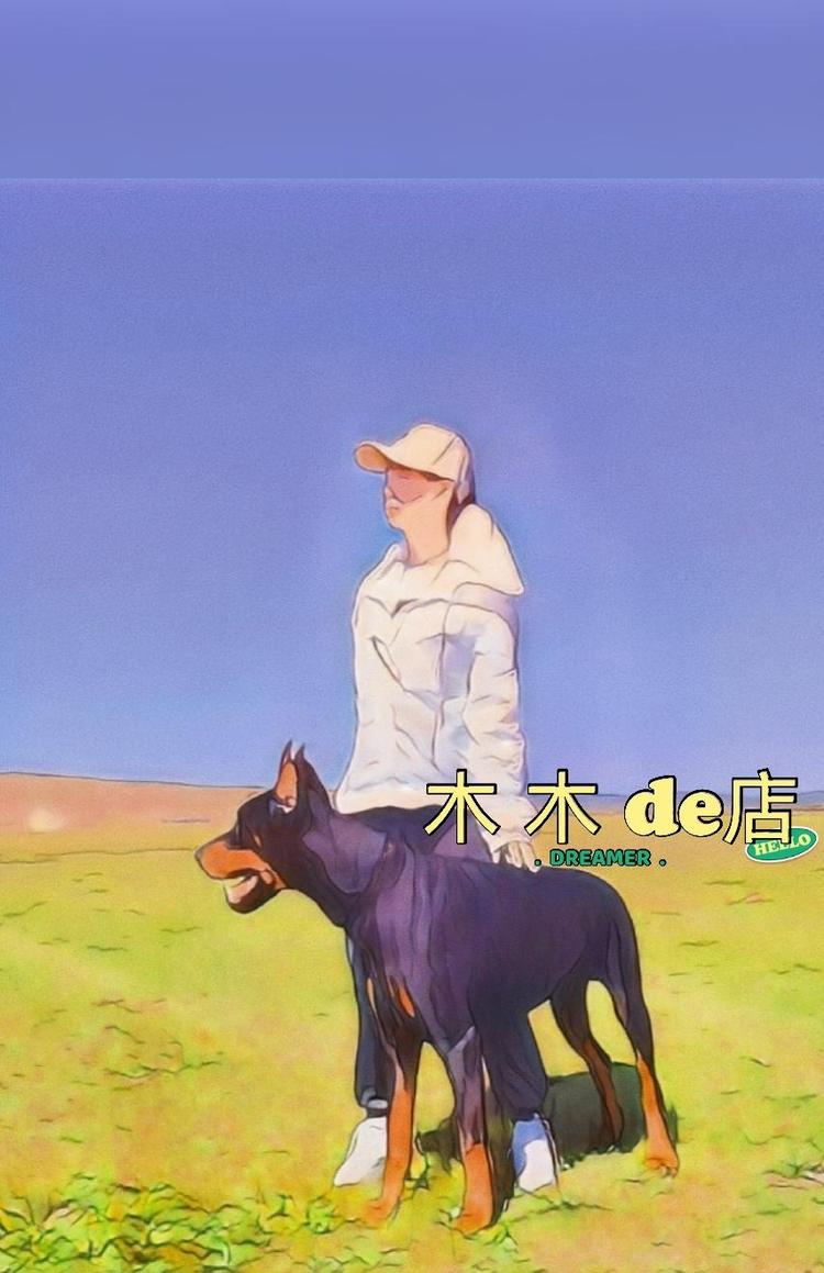 哈尔滨市道里区木寻雾电子产品销售店的小店