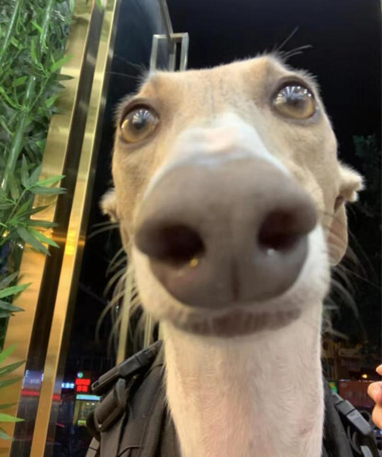 广州市白云区钟落潭荣发支力床垫经营部的小店