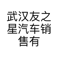 武汉友之星汽车销售有限公司的小店