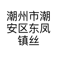 潮州市潮安区东凤镇丝丝服装店的小店