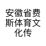 安徽省费斯体育文化传播有限公司的小店