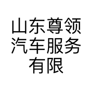 山东尊领汽车服务有限公司的小店