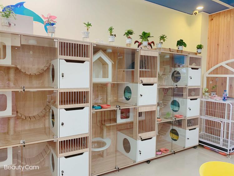 海港区妙豆宠物用品店的小店