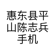 惠东县平山陈志兵手机店的小店