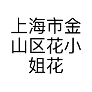 上海市金山区花小姐花店的小店