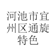 河池市宜州区通旋特色食品有限责任公司
