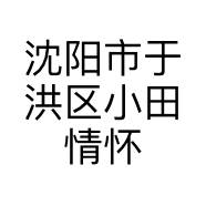 沈阳市于洪区小田情怀二手车咨询中心的小店