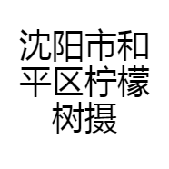 沈阳市和平区柠檬树摄影流行馆