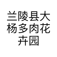 兰陵县大杨多肉花卉园艺场的小店