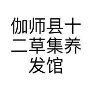 伽师县十二草集养发馆的小店