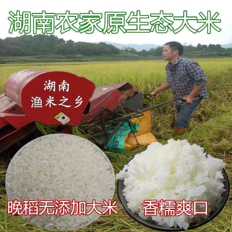 农民子弟小店