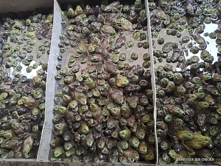 遂宁市船山区唐轩英水产品经营部的小店