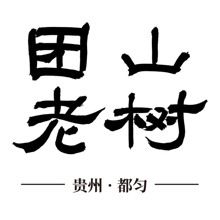 团山老树茶叶